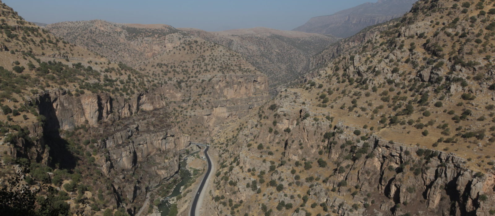 Ararat#15: